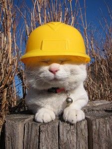 Image of a thirty year old construction worker